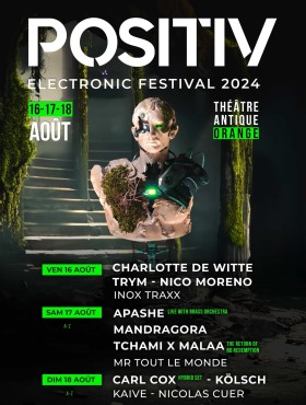 Affiche Positiv Electronic Festival 2024