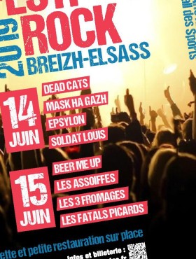 Affiche Festi Rock Breizh - Elsass 2019